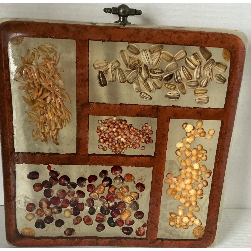 Gamut Designs Vintage Resin Seed Grain Wall Art Decor 7x7 Brown Farmhouse